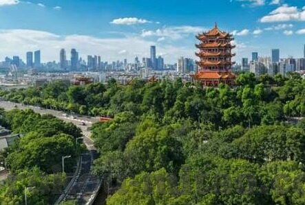国产传媒一区二区-国产传媒的多元化发展，一区二区的创新与挑战
