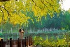 国产精品麻豆三级三级视频-细腻国韵，视界盛宴——国产精品麻豆视频透视