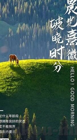 国产一区日韩二区欧美三区-多元文化视角下的影视内容，国产一区、日韩二区、欧美三区的魅力与融合