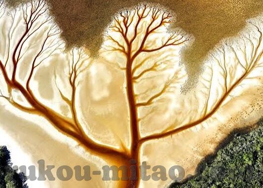 人妻喷水-探索人妻喷水的微妙世界，爱的细腻与情感的释放